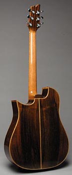 Dreadnought Back
