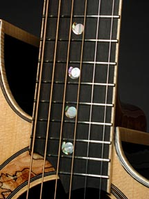 Mother of Pearl and Abalone Spiral Inlays